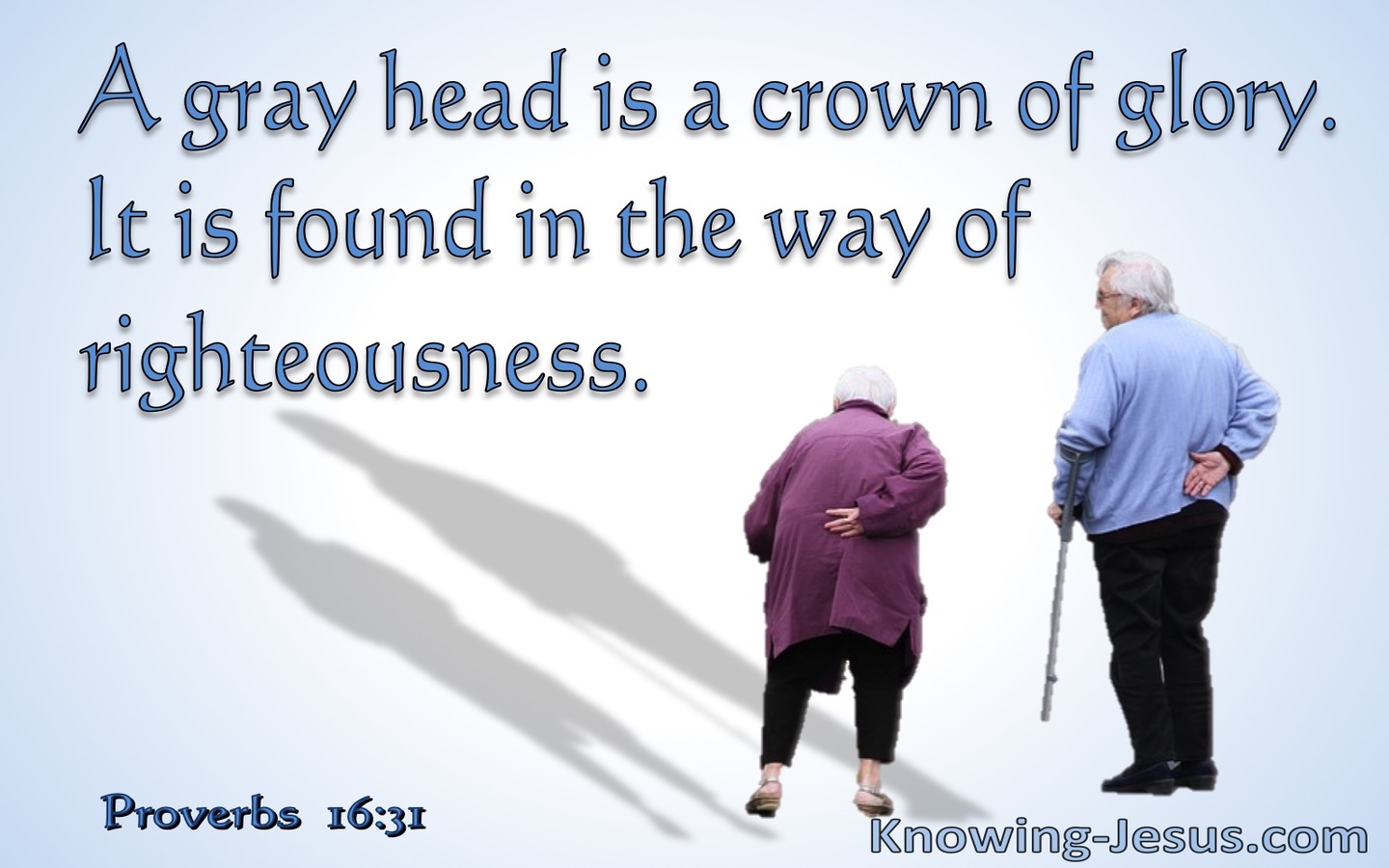 Proverbs 16:31 Gray Hair Is A Crown of Glory (blue)